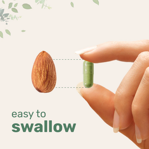 Elivra® Moringa Oleifera